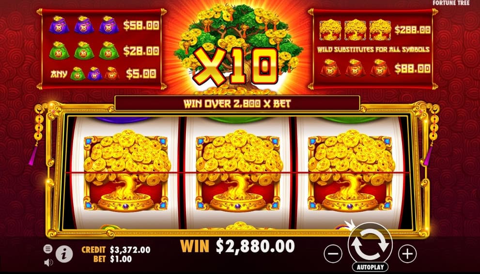 Pola Cuan Tree Of Riches OLE777 Ala Pemain Berpengalaman