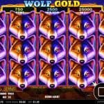 Keajaiban Serigala Penjaga Padang Pasir di Wolf Gold OLE777