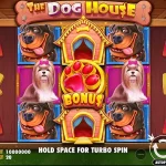 Serunya Dunia Anjing Penuh Kejutan Bonus Dari The Dog House