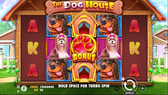 Serunya Dunia Anjing Penuh Kejutan Bonus Dari The Dog House