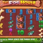 Dunia Anjing Penuh Hadiah Menarik The Dog House Megaways