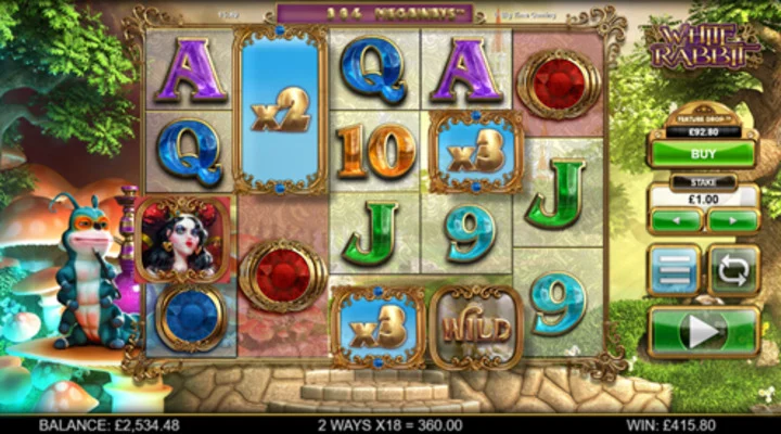 Petualangan Ajaib Penuh Kejutan Spesial Dari White Rabbit